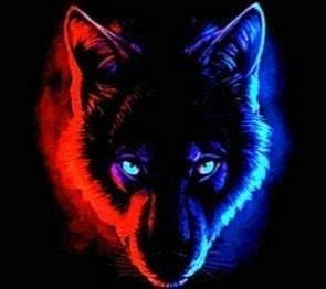 Red And Blue Wolf Wallpaper Image 1
