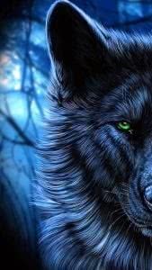 Black Wolves With Blue Eyes Wallpaper Image 1
