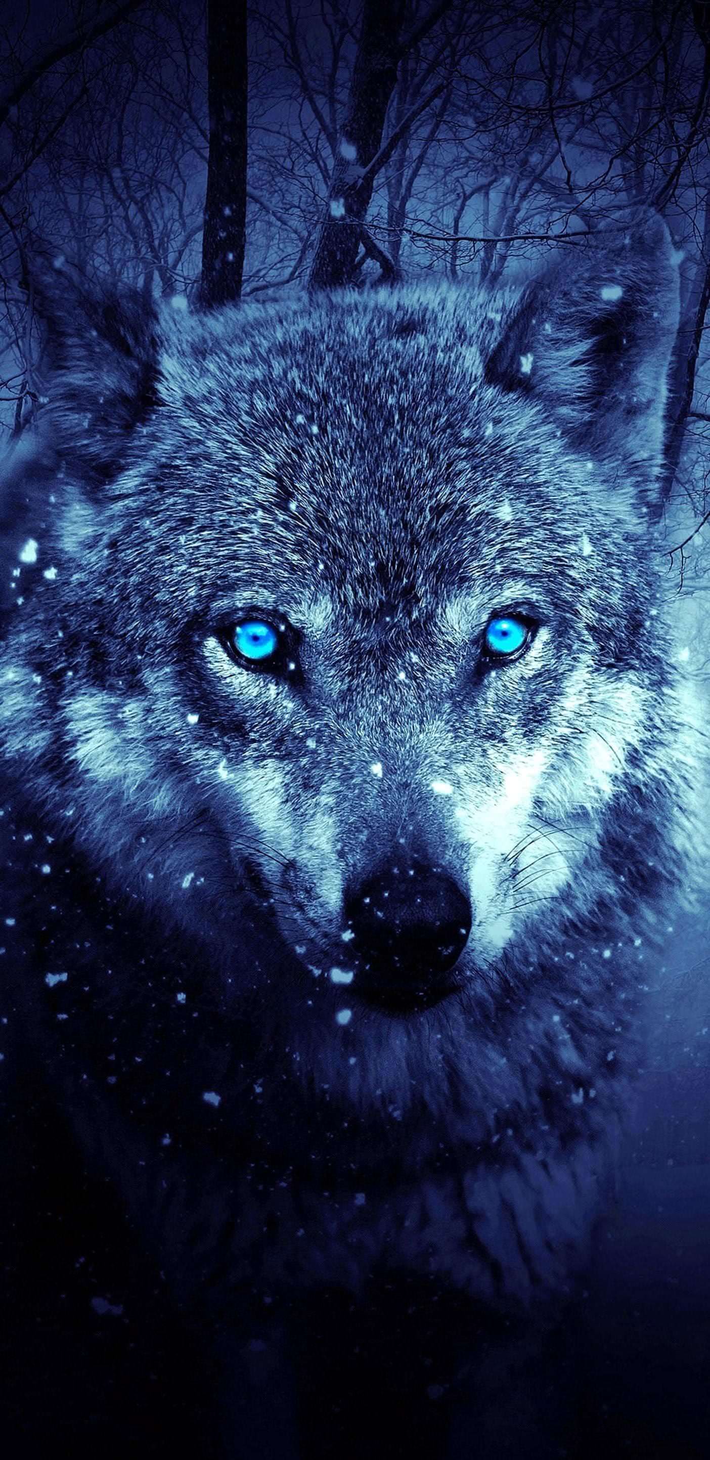 Note 8 Wolf Wallpaper Image 1