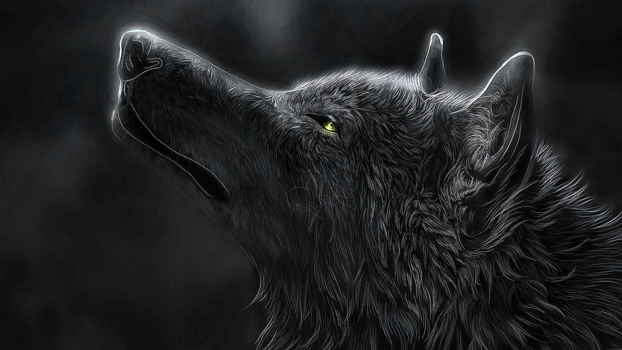 Wolf Wallpapers 2048x1152 Wolf Wallpapers Pro