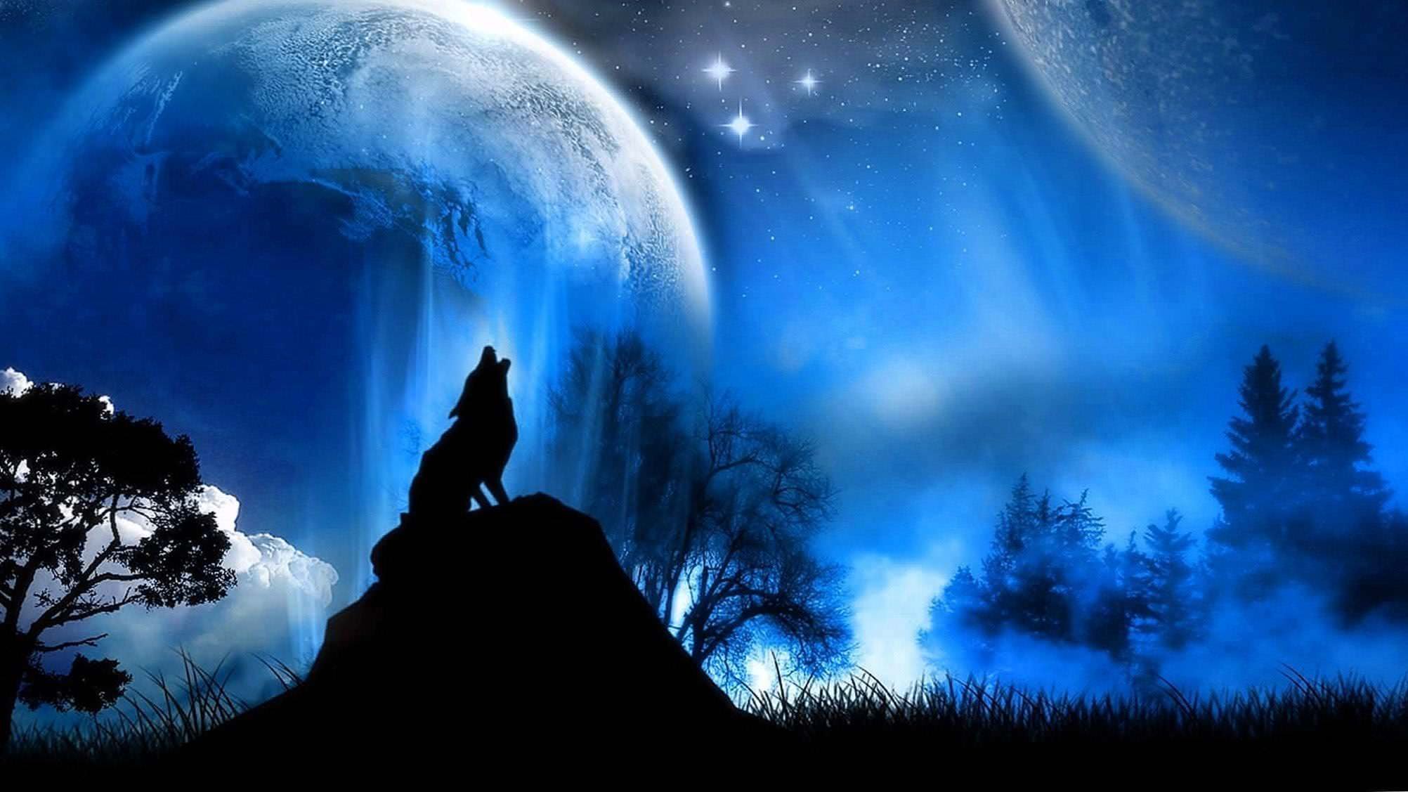 2048x1152 Wolf Wallpapers Wolf Wallpapers Pro