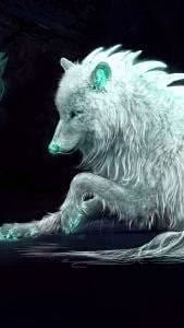 Wolf Wallpapers 2160x3840