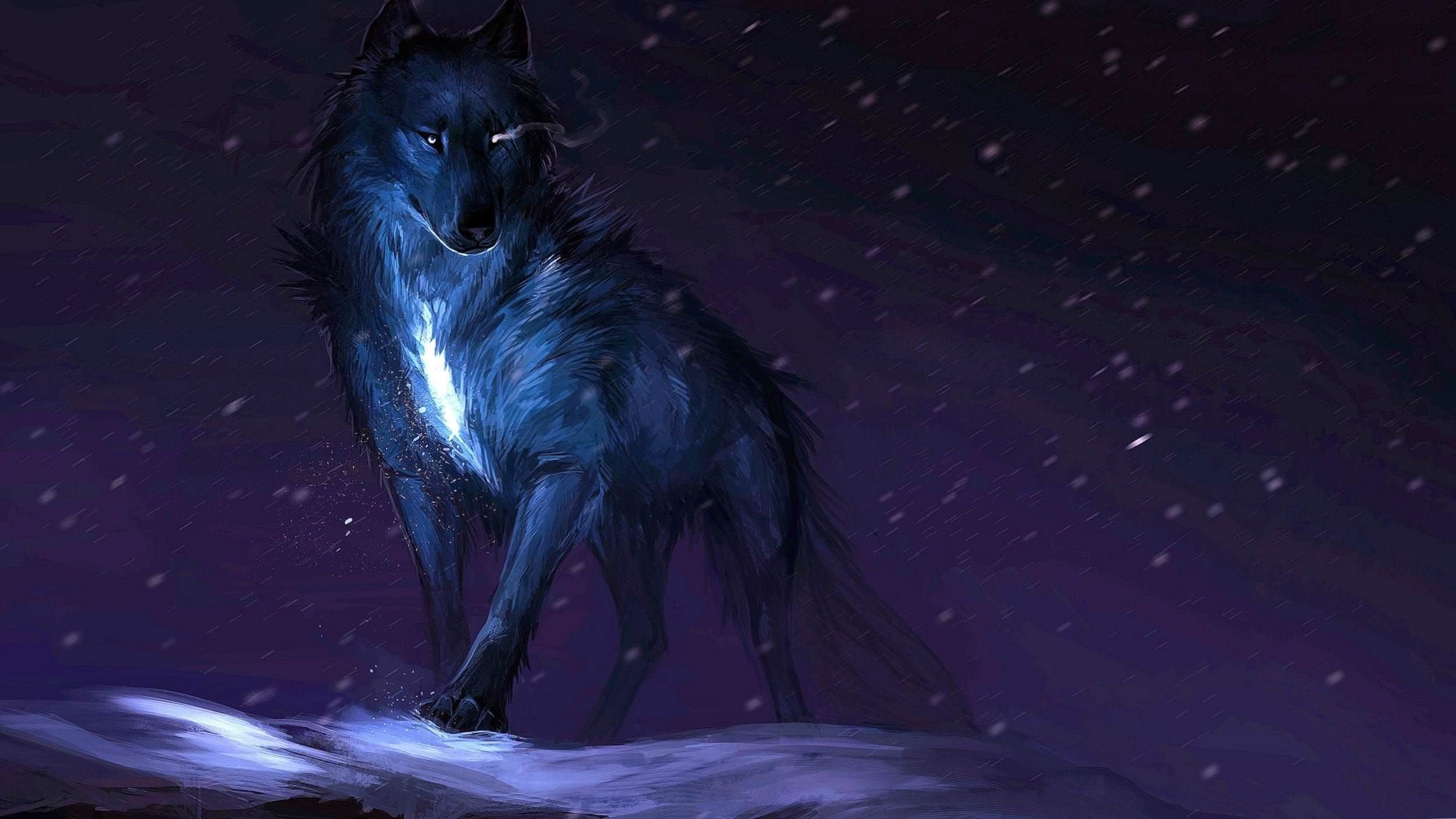 Wolf Wallpapers 2560x1440 Wolf Wallpapers Pro