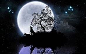 Moon And Wolf HD Wallpapers