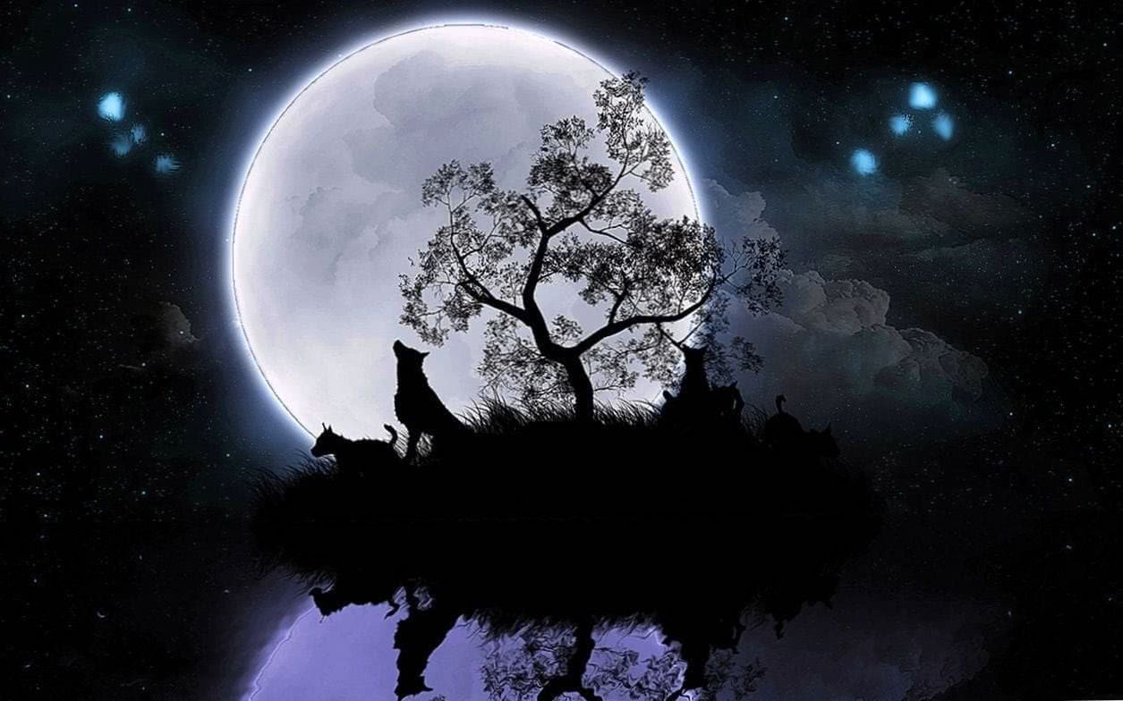 Full Moon Wolf Wallpaper Image 1