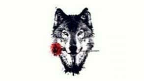 Wolf Wallpapers Handy