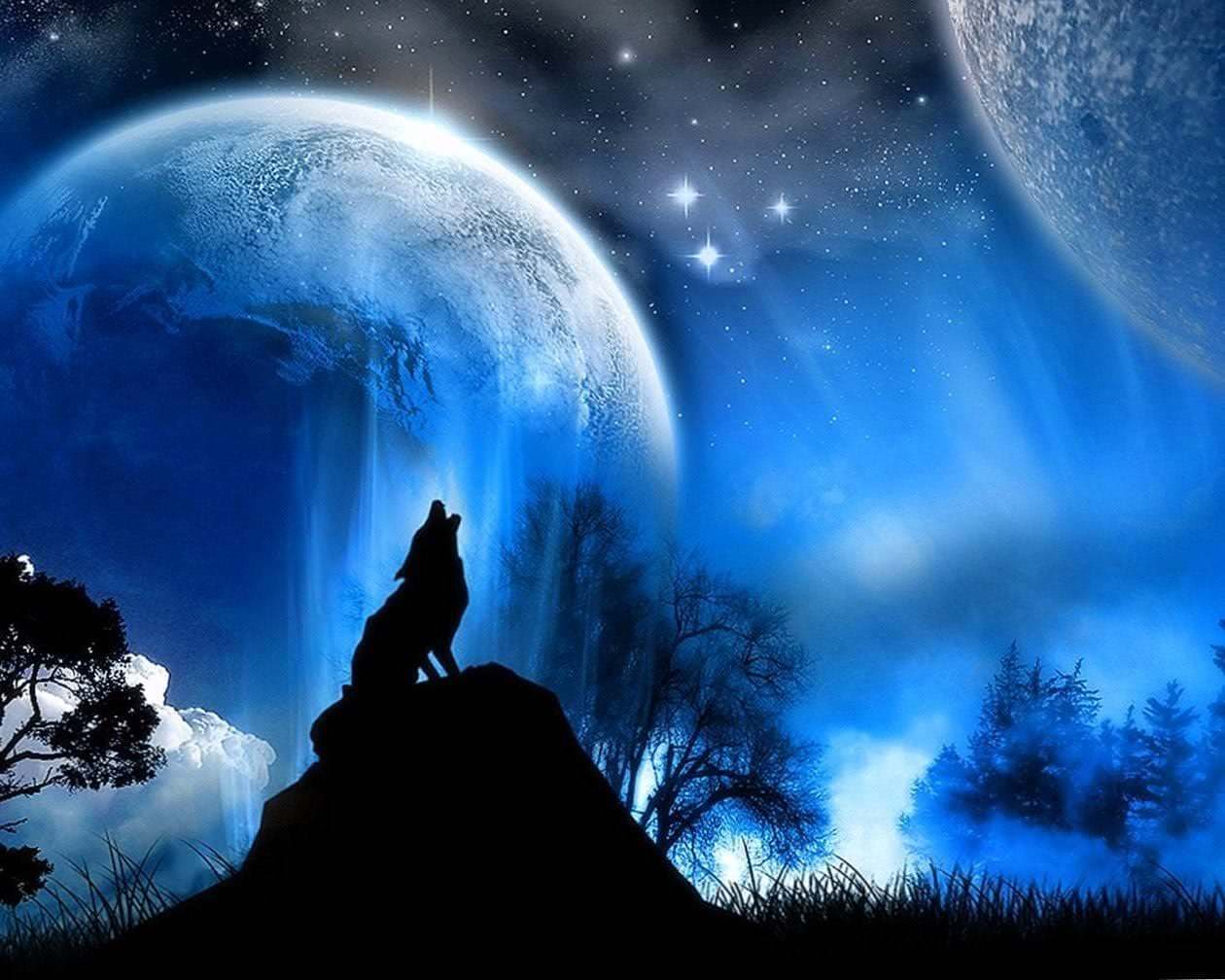 Wallpapers Laptop Wolf
