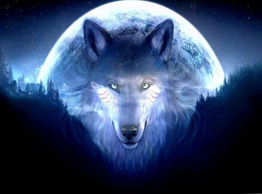 3d wolf wallpaper hd background image 3