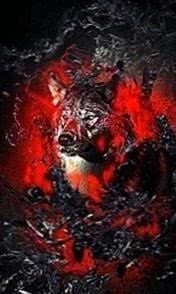 Wallpaper Wolf Motorola Image 1