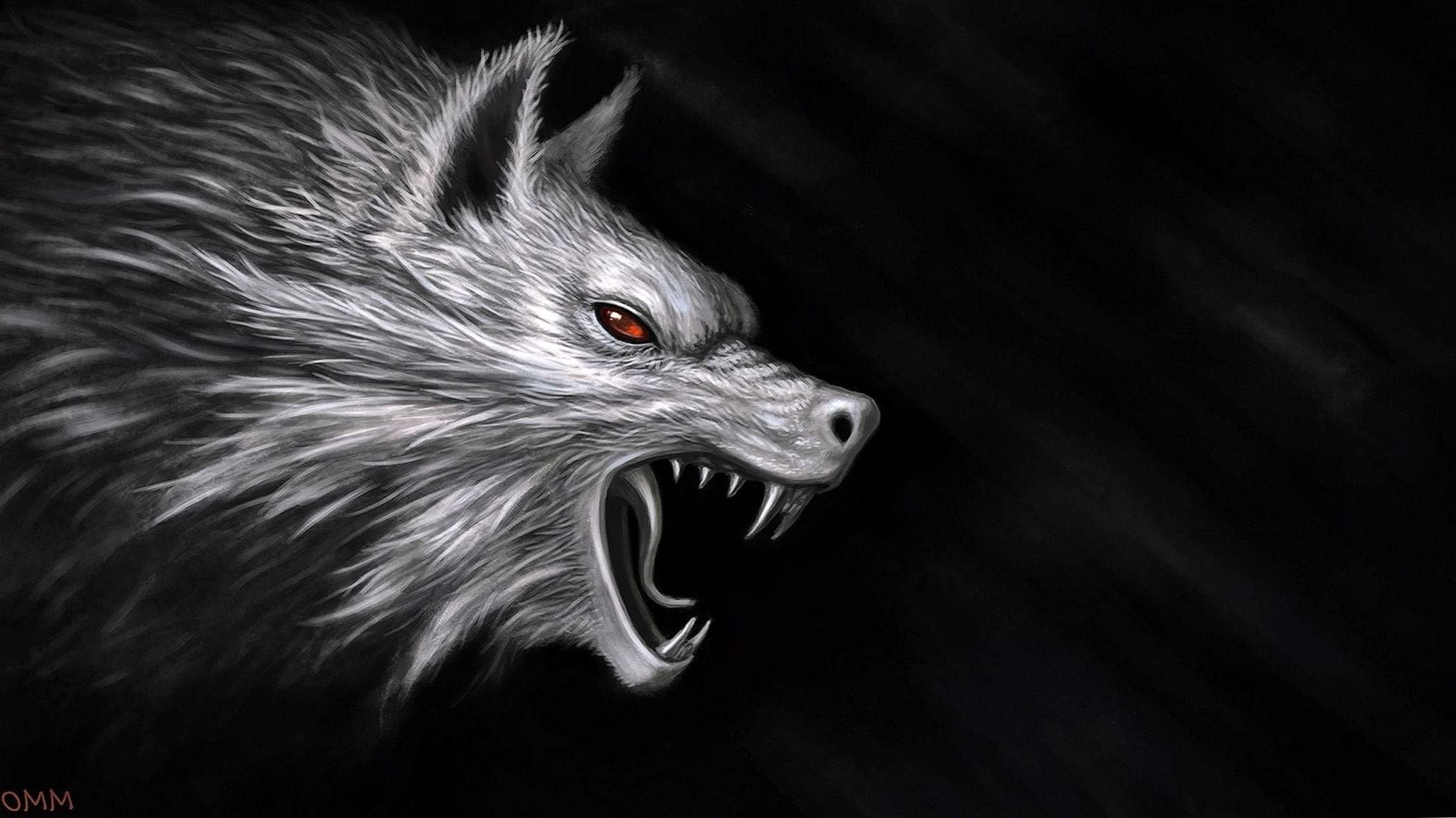 4k hd wolf wallpaper background image 3