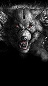 Werewolf Skull Wallpapers