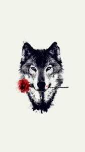 Wolf Wallpaper Rose Image 1