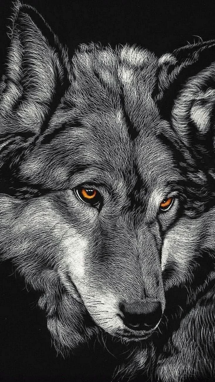 Angry Wolf Wallpapers 4K iPhone