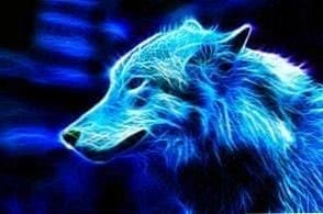 Wallpapers Blue Wolf