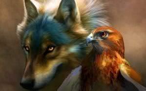 Wolf And Eagle Wallpaper Image 1