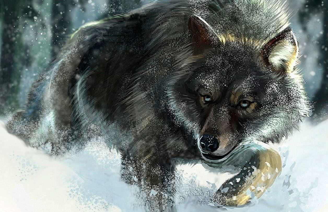 Aggressive Wolf Wallpapers - Wolf-Wallpapers.pro