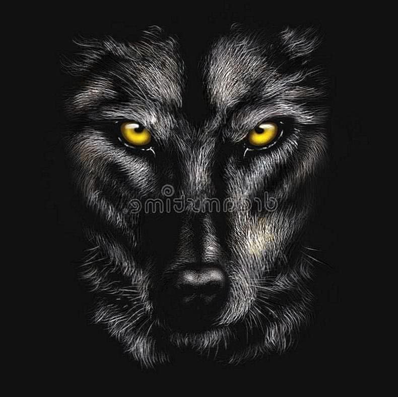 Wolf Agressive Wallpaper Image 1