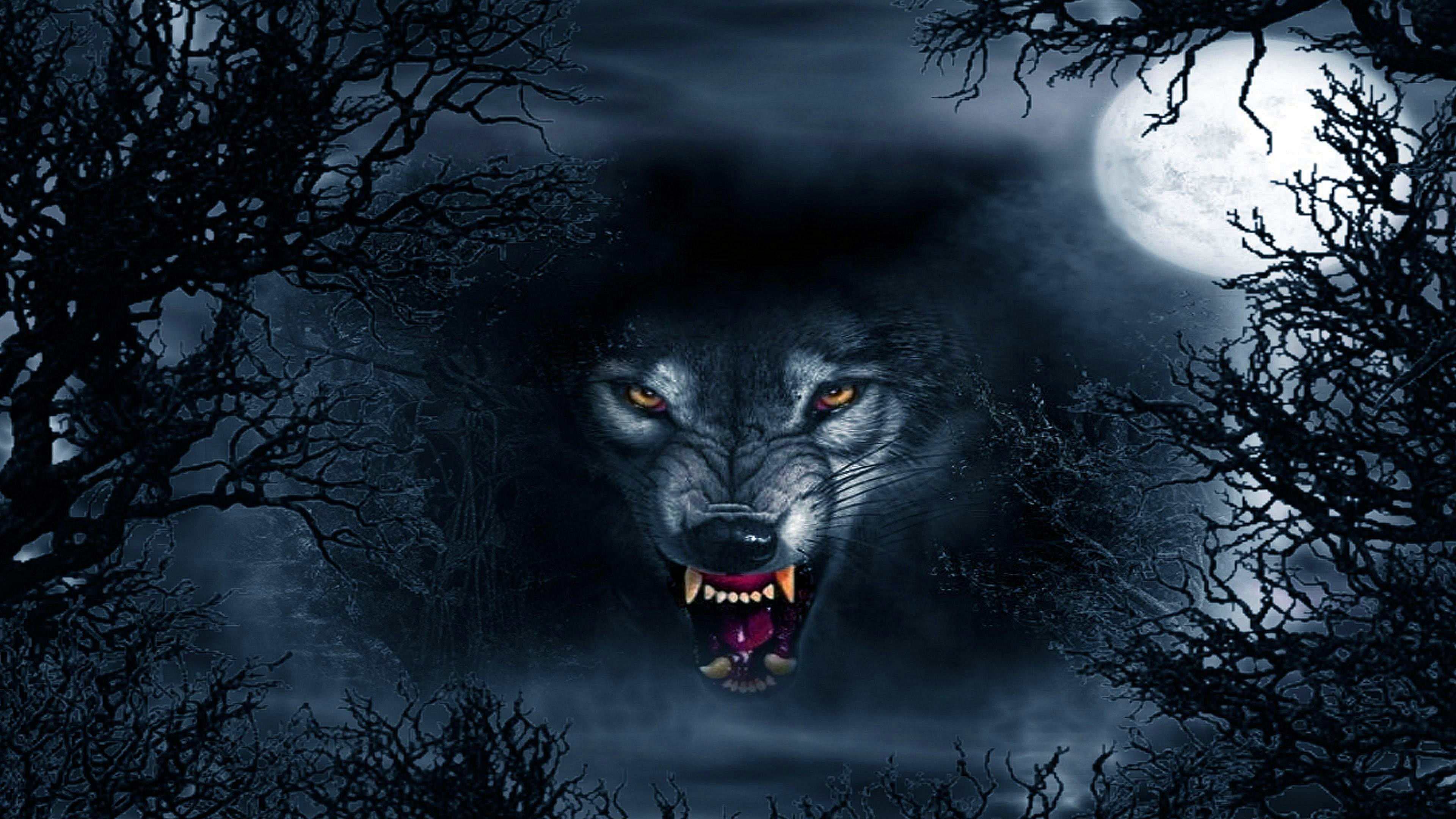 Angry Black Wolf Wallpapers 4K - Wolf-Wallpapers.pro