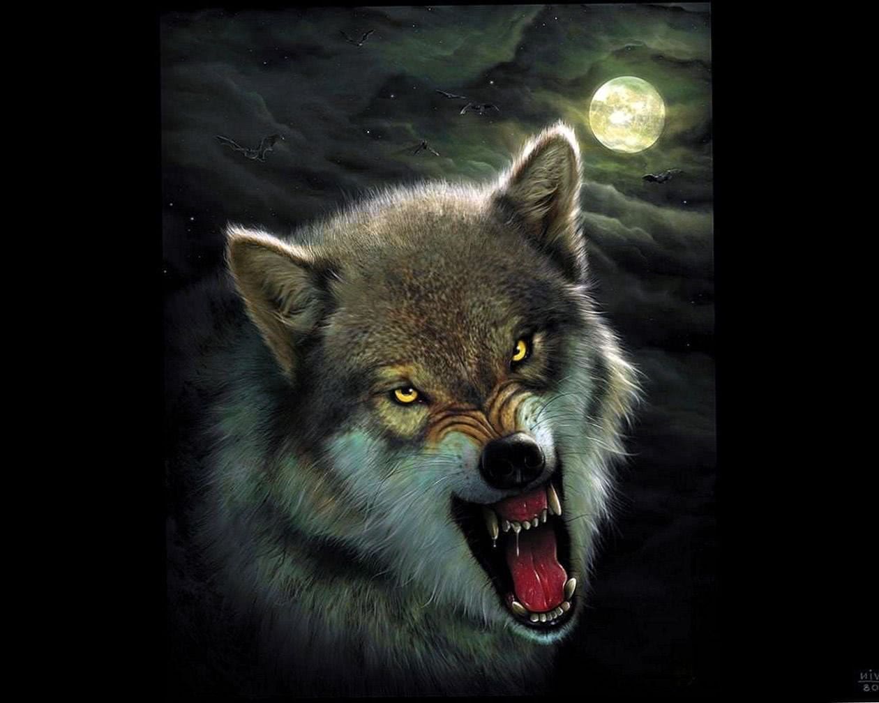 Angry Wolf Wallpapers For Android