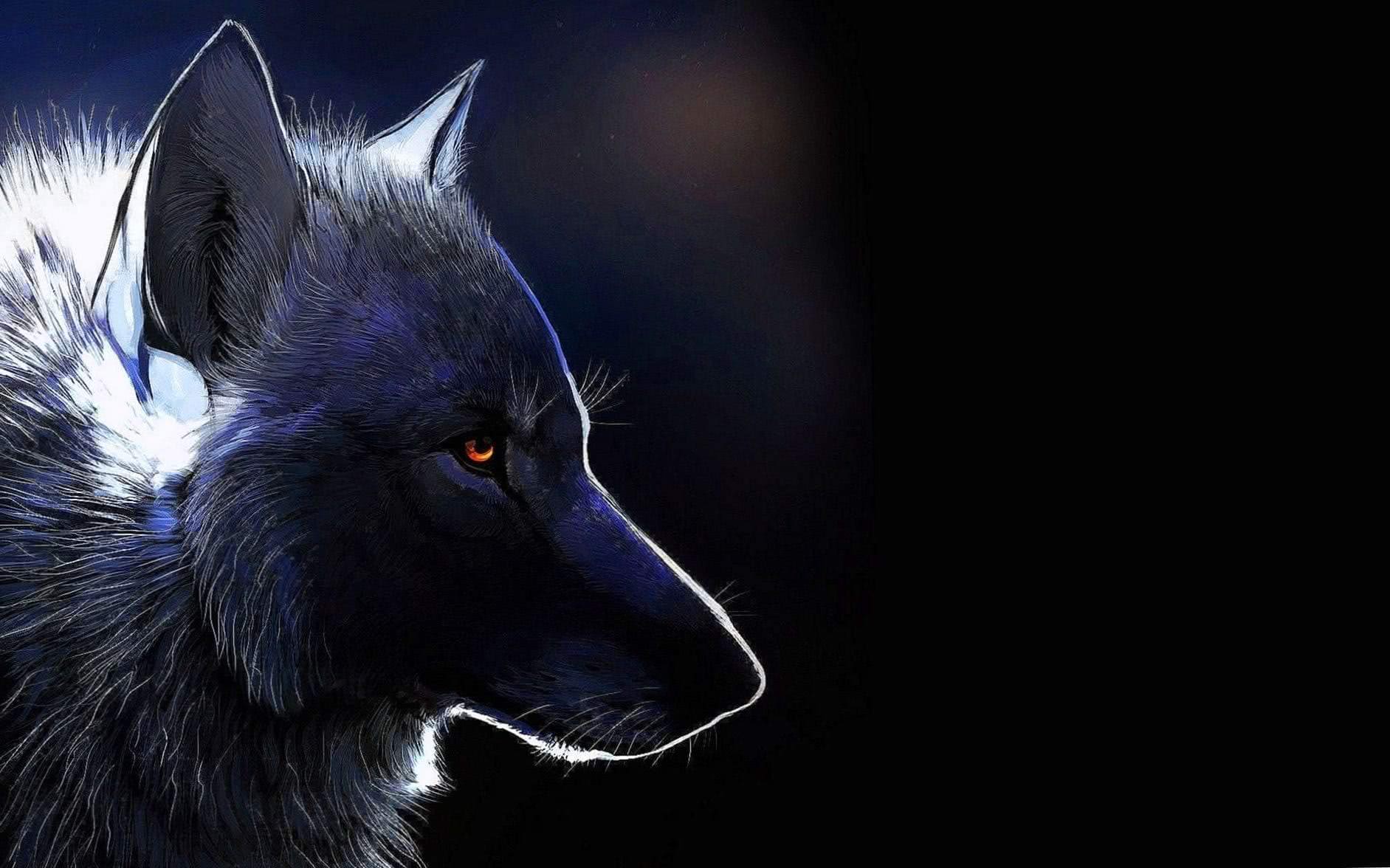Angry Wolf Wallpapers Cave