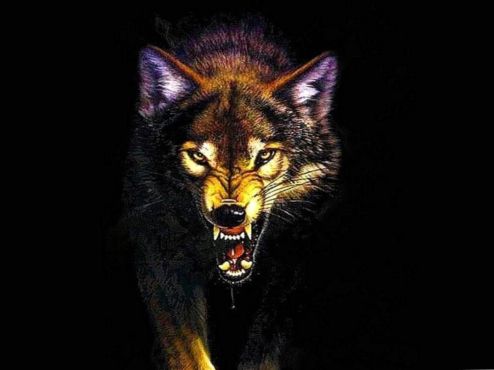 Angry Wolf Wallpapers HD