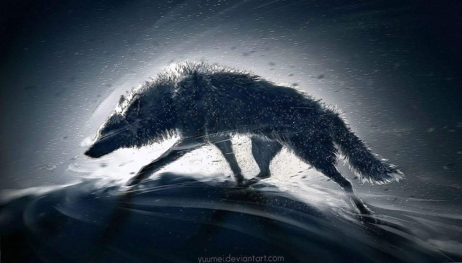 wolf wallpaper hd for pc background image 2