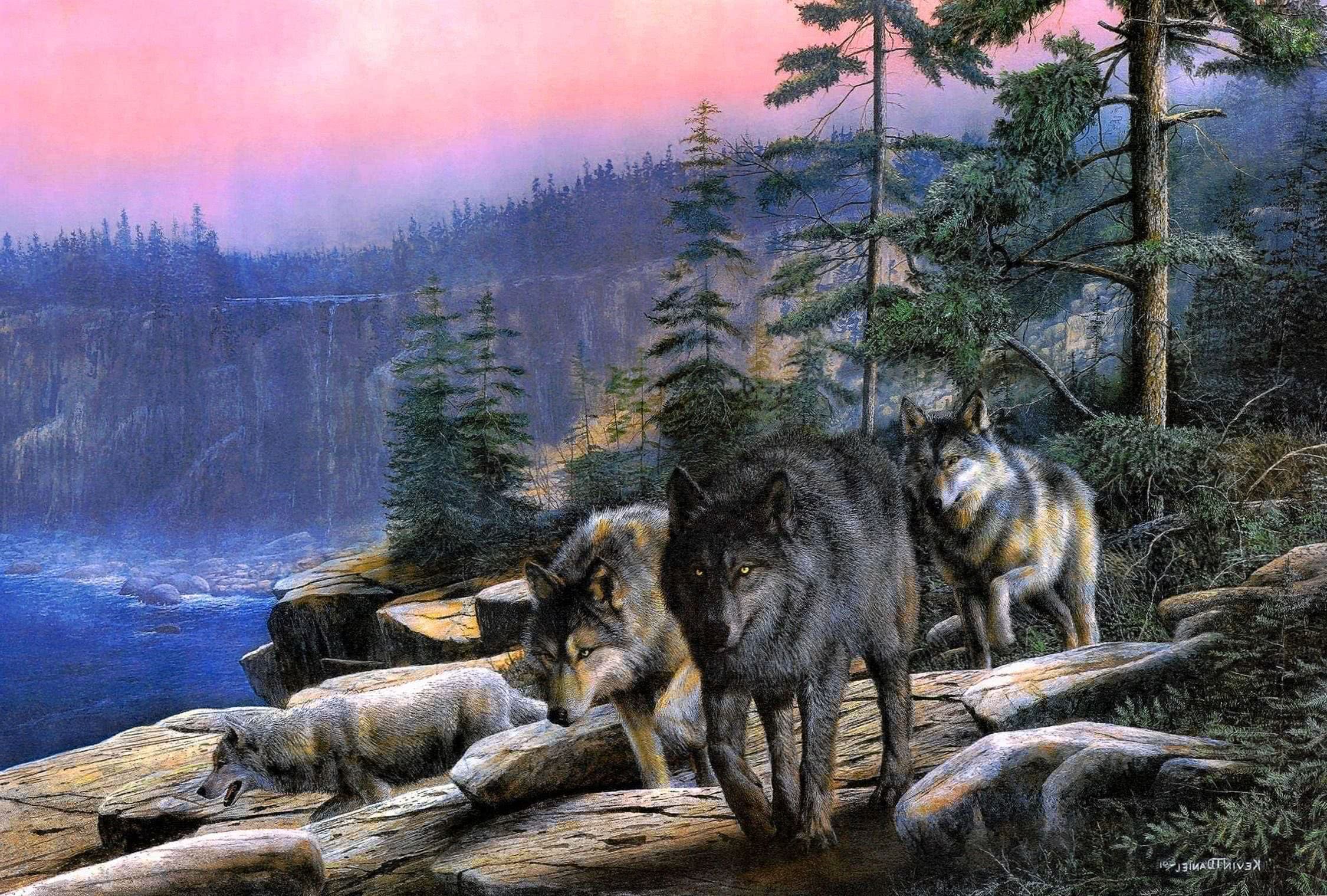 Wolf Pack Desktop Wallpapers