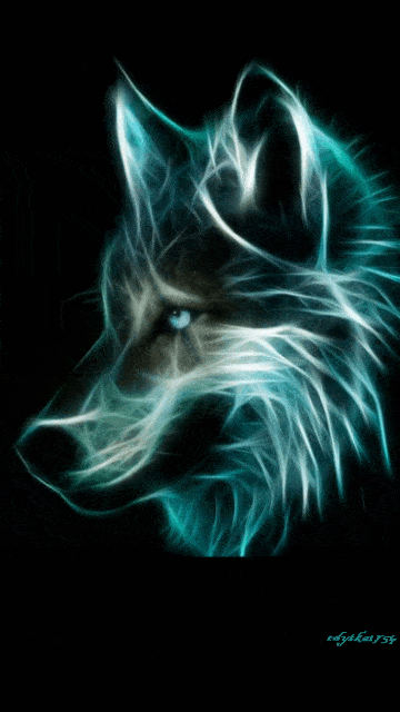 Wolf Wallpaper Gif Image 1
