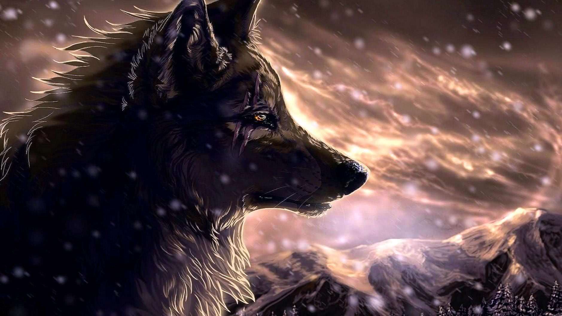 anime wolf hd wallpaper background image 3