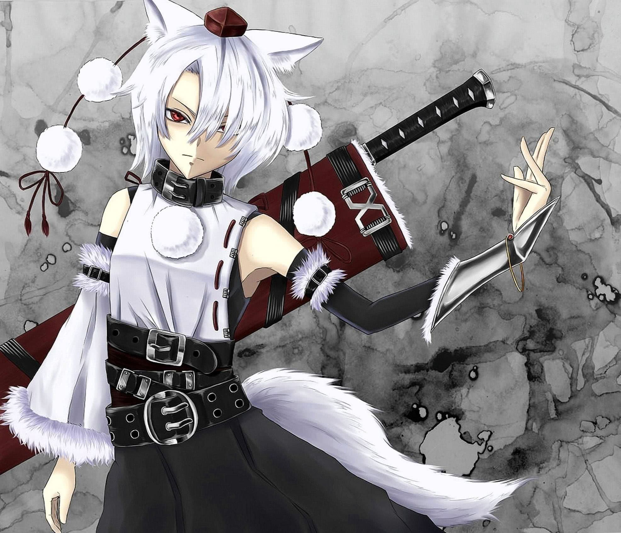 Wolf Girl Anime Wallpapers Wolf Wallpapers Pro