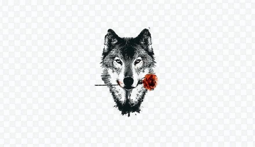 wolf wallpaper htc background image 3