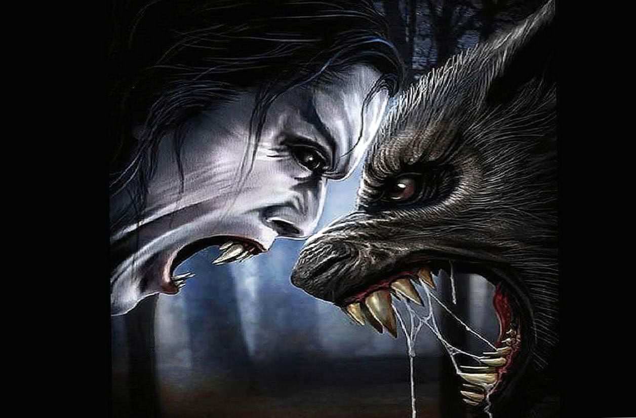 Vampire And Werewolf Wallpaper Image 1