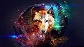 Star Wolf Wallpapers HD