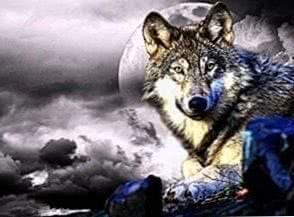 Awesome Wolf Wallpapers
