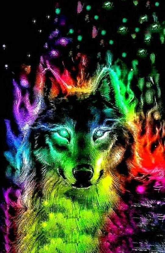 wolf wallpaper rainbow background image 3