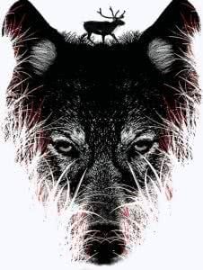 Wolf Tumblr Wallpapers HD