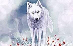 Wolf With Flower Wallpapers