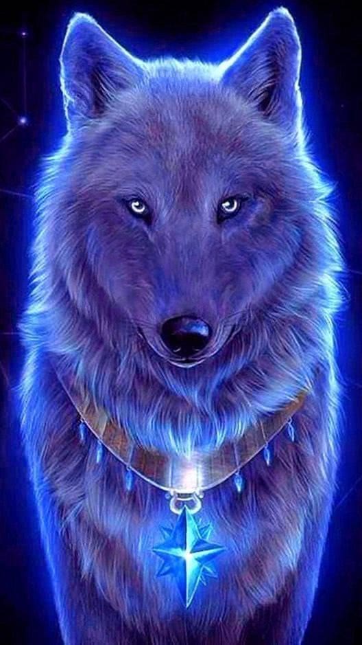 Wallpapers Smartphone Wolves