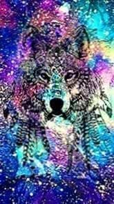 Rainbow Wolf iPhone Wallpaper Image 1
