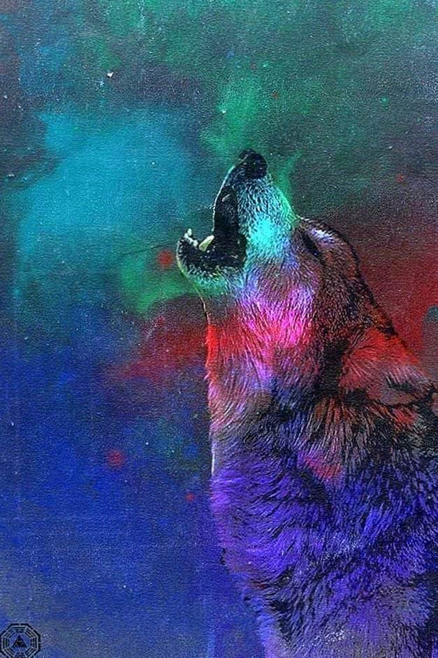 Wolf iPhone 7 Plus Wallpapers