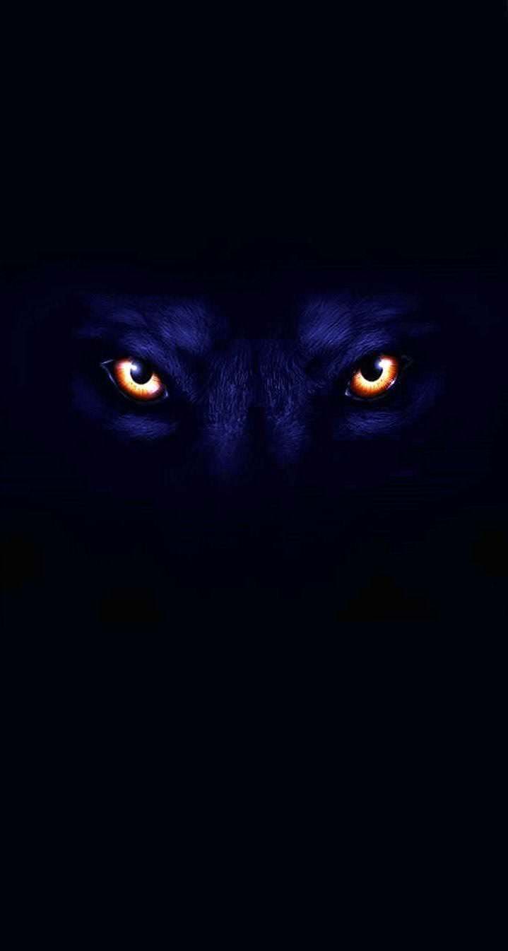 Black Wolf Cell Phone Wallpapers