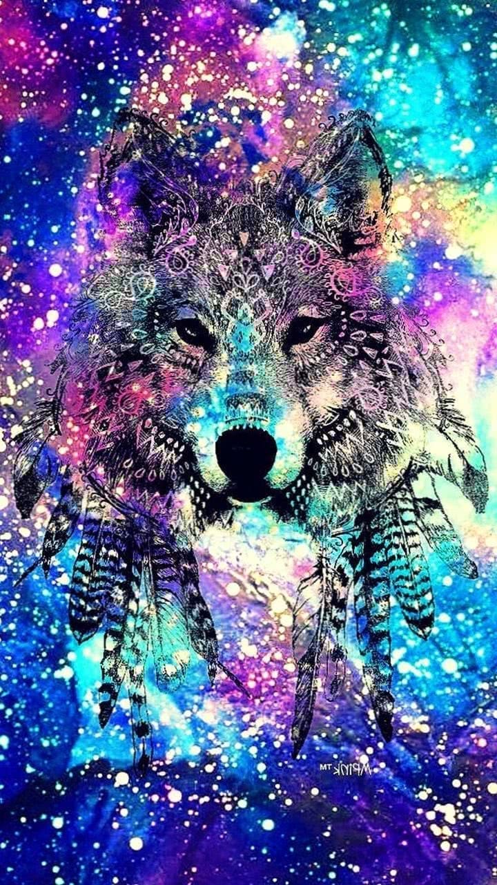 wolf galaxy wallpaper hd background image 3
