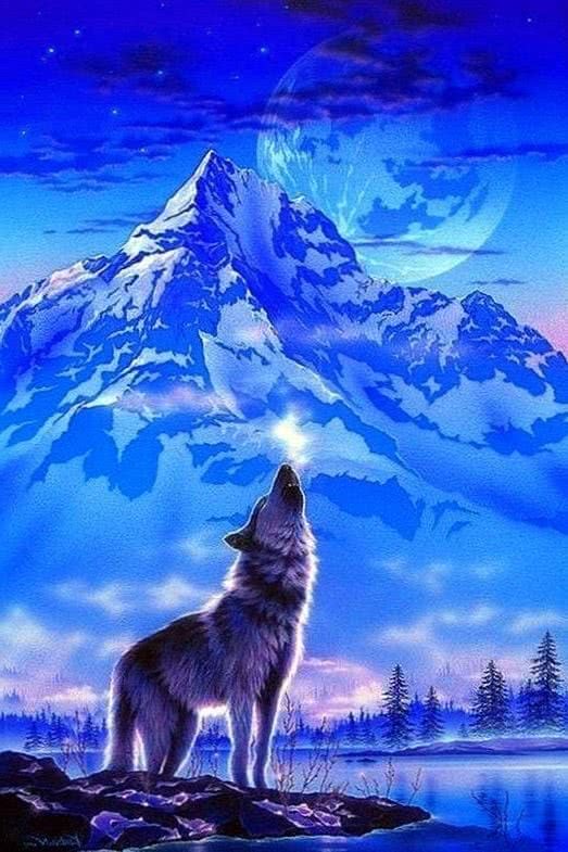 Wolf Art Phone Wallpapers