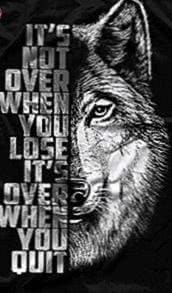 Wolf Motivation Wallpaper Image 1