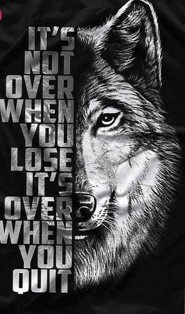 Wolf Motivation Wallpaper Image 1
