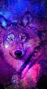 Purple Wolf Wallpapers free download