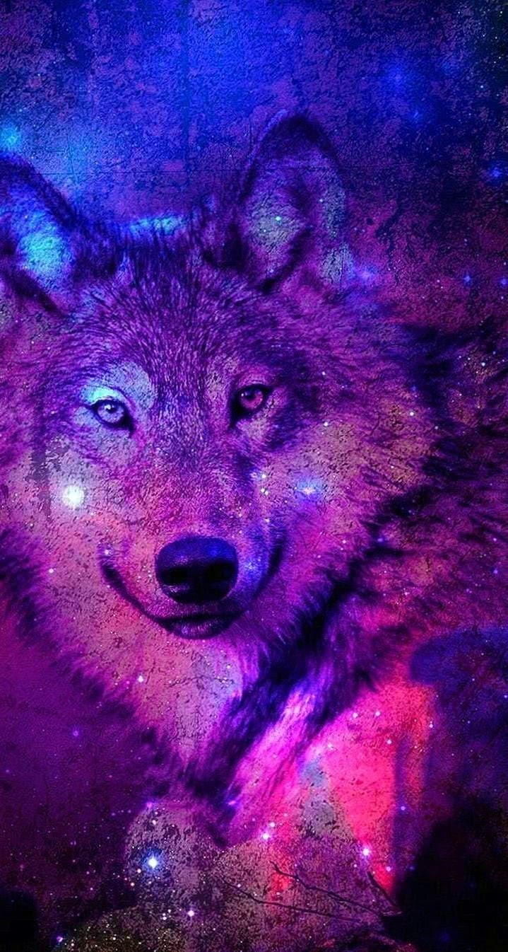 Iphone Cool Galaxy Wolf Wallpaper