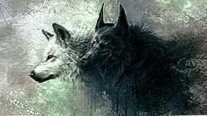 HD Wallpapers 1366x768 Wolf