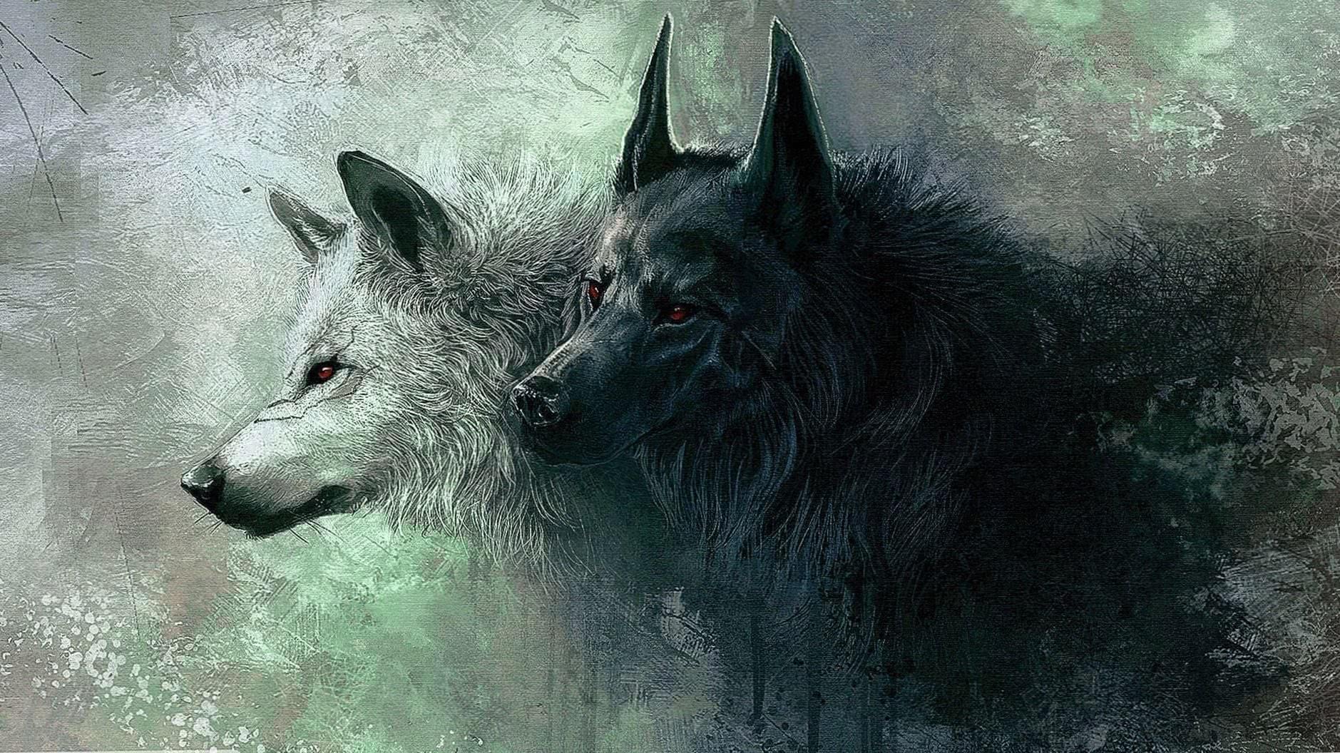 HD Wallpapers 1366×768 Wolf