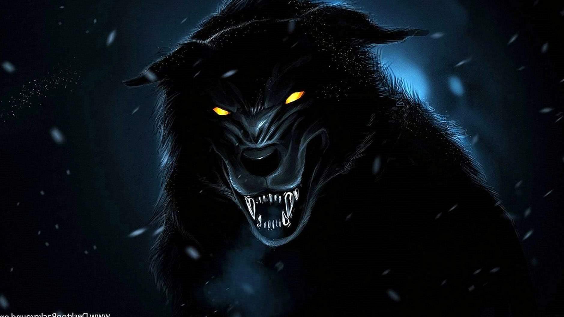 HD Wallpapers Of Black Wolf